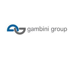 Logo Fincibec gambini group
